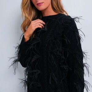 NWT! Hyacinth House Black Talulah Feather Sweater